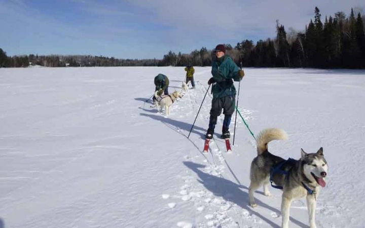 a group of gap year students on skis are pulled by sled dogs on a frozen snowy lake